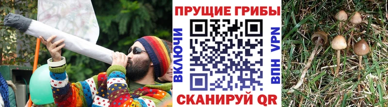 Псилоцибиновые грибы мухоморы  hydra зеркало  Магадан  наркошоп 